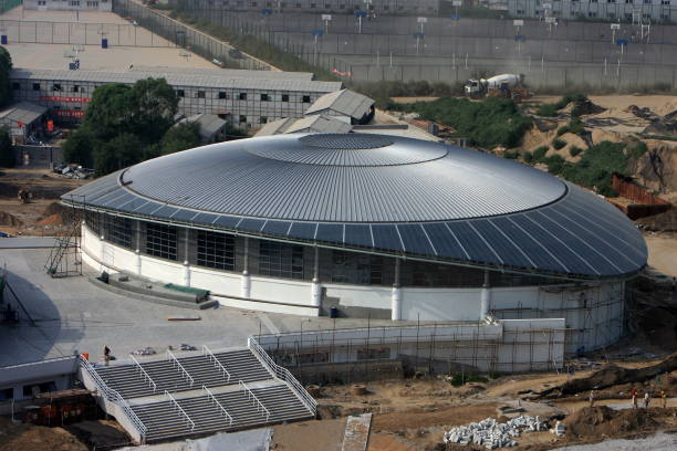 张楠现状:从奥运冠军到幕后推手,他的羽毛球人生新篇章