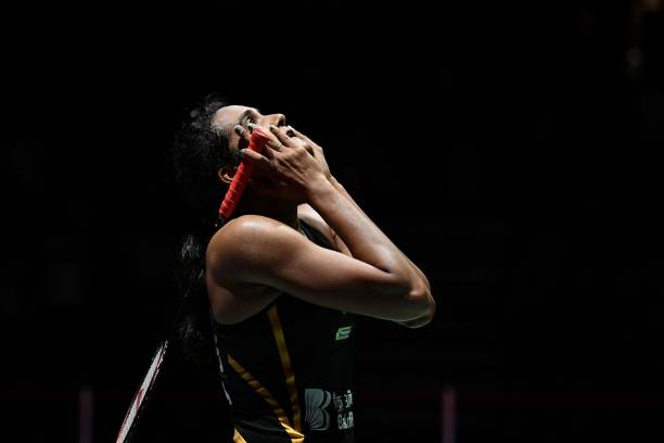 深度分析:新加坡羽毛球队的商业合作伙伴