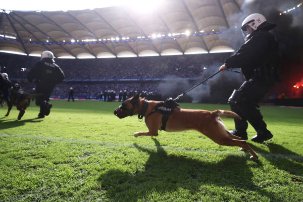 ? 欧冠赛场德国球队表现:拜仁&多特最新比赛视频解析!