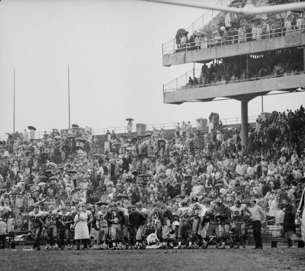 贝克汉姆长子布鲁克林妻子妮可拉·佩尔茨:家世背景与爱情故事