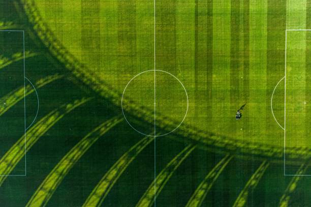 德甲裁判的“高薪”真相:压力与收入是否匹配?