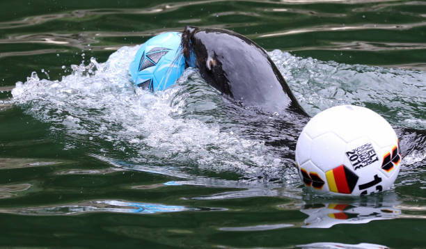 劳尔vs现代中锋:传统足球智慧在当代足坛的价值