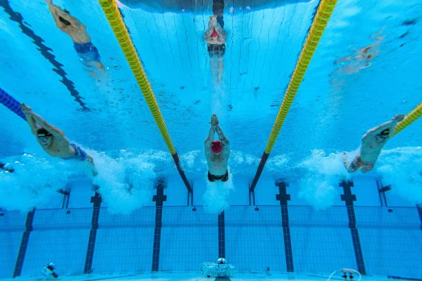 奥运会主办城市的遗产:从基础设施到文化影响