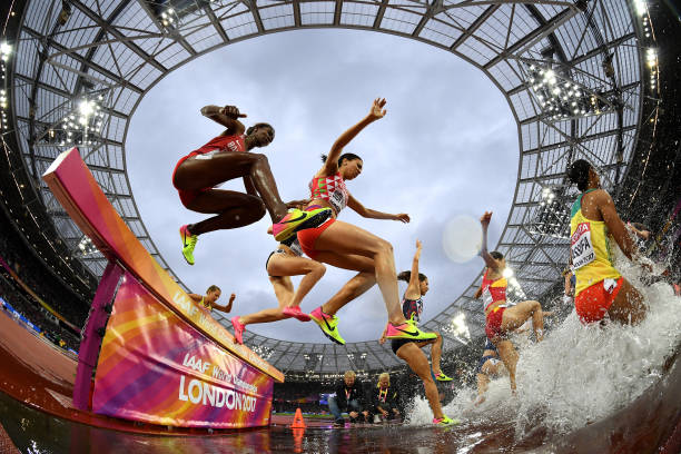 粉丝关注焦点:宁泽涛到底结婚了没有?