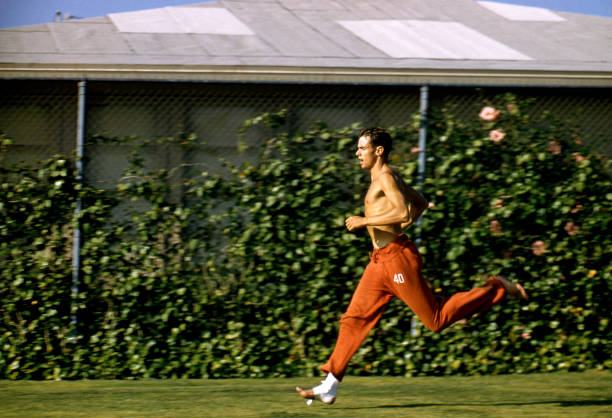 同名不同命:叶一茜与杨明娜的人生轨迹对比