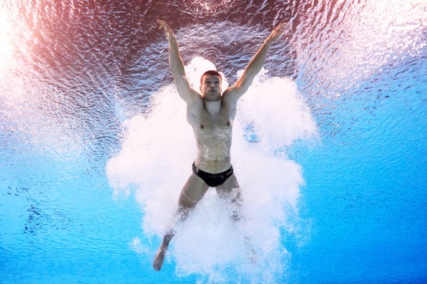 陈若琳职业生涯回顾:荣誉与成就一览