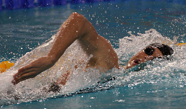 全红婵国家队动态:她是否已经加入?