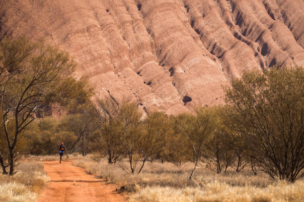 全红婵的抉择:为何在巅峰时期选择退出?