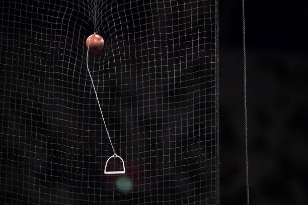 夫妻同心创业:吴敏霞与丈夫共同打造泳装品牌的心路历程