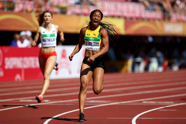 郭晶晶在体育教育领域的地位有何体现?