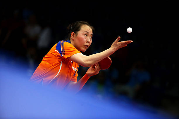 2024上半年男乒排名变化:谁进步最快?谁意外下滑?