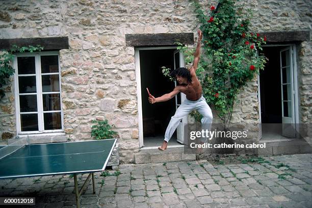 德国队历届乒乓球团体赛战绩盘点:辉煌与挑战并存