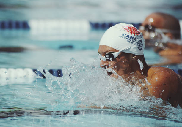 游泳等级标准更新:哪些级别发生了变化?