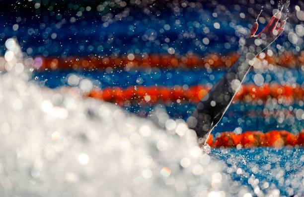 游不动了,水里的鱼都在嘲笑我