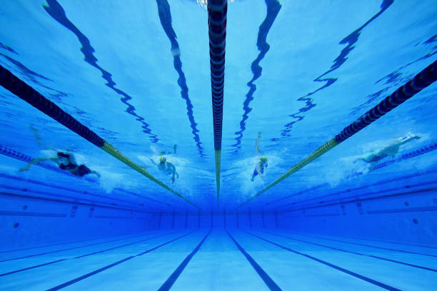 适用于专业评论,提供权威视角和深度洞察