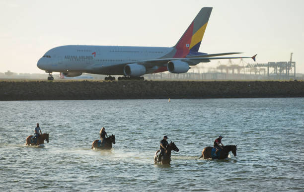 开放水域游泳的危险与应对策略