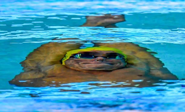 游泳圈圈拼音练习:提升发音准确度