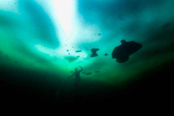 制定你的自由泳训练计划:分解练习与配合游的提升策略
