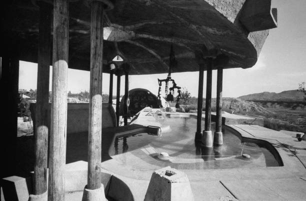 从分解动作到整体配合:游泳手脚协调训练指南