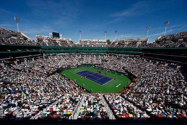 网球 love:在球场上谱写浪漫恋曲