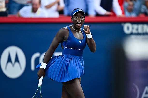 网球L是什么意思?从入门到精通的术语解析