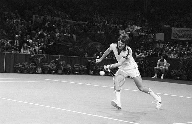 (适用于学术或官方介绍场景)