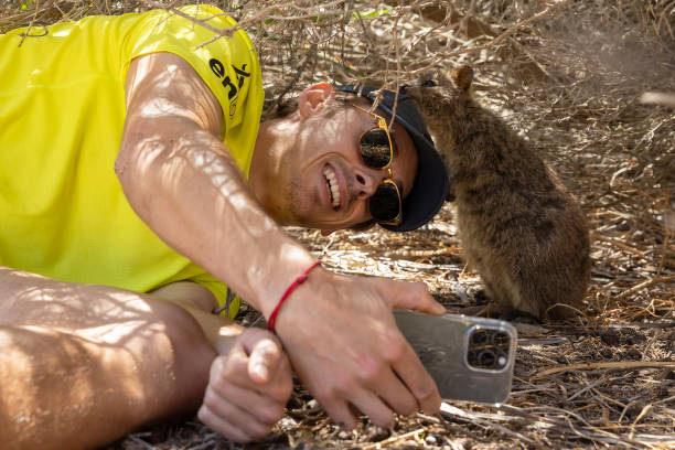 女子网球决赛直播:精彩瞬间,冠军诞生时刻