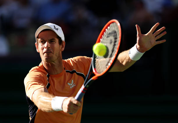 草地传奇:回顾2021年温布尔登的精彩对决