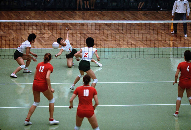 惠若琪复出引发热议,郎平表示理解并给予鼓励